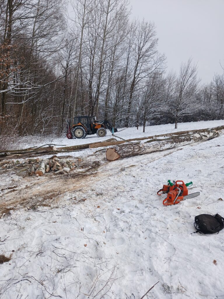 🌲 Praca w lesie to czysta przyjemność, ale i ogromna odpowiedzialność! 🌲
